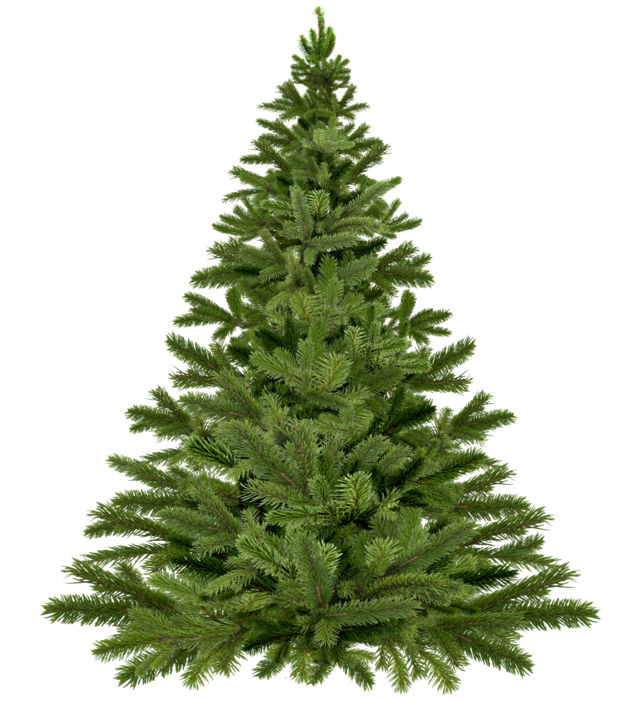 christmas tree 1796131 1920 1