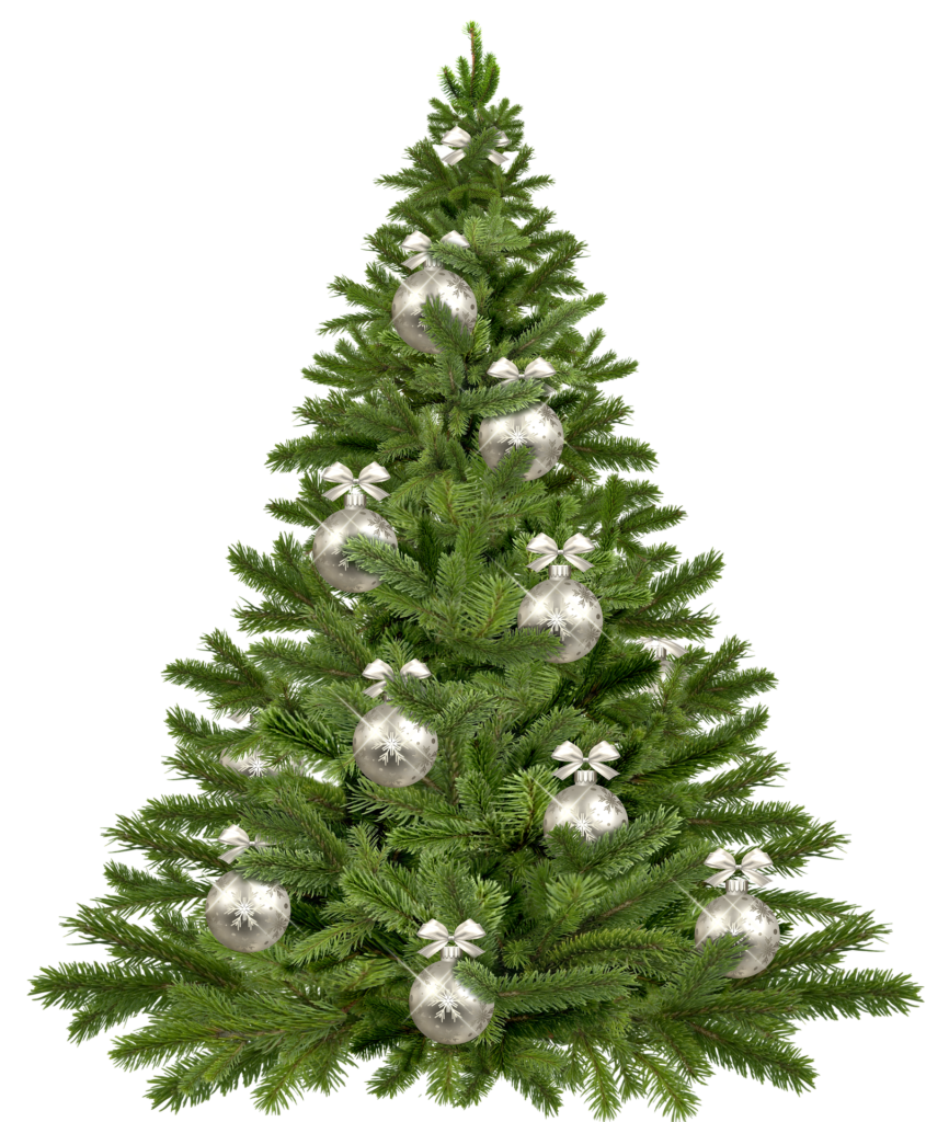 christmas tree 1853582 1920 1