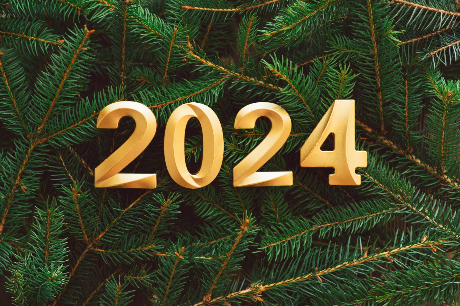 happy new years 2024 many christmas tree branches 2023 09 27 02 20 33 utc min